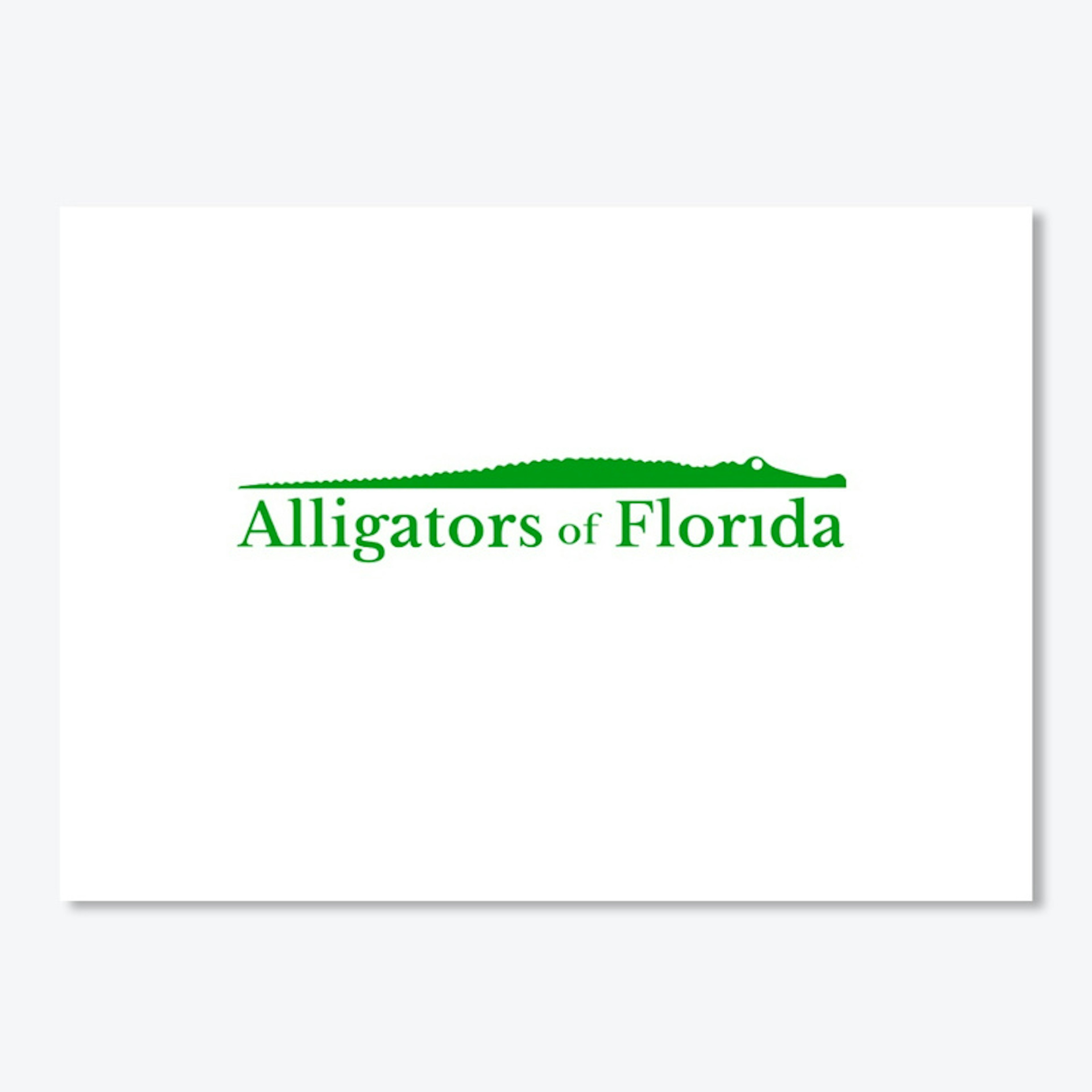 Alligators of Florida